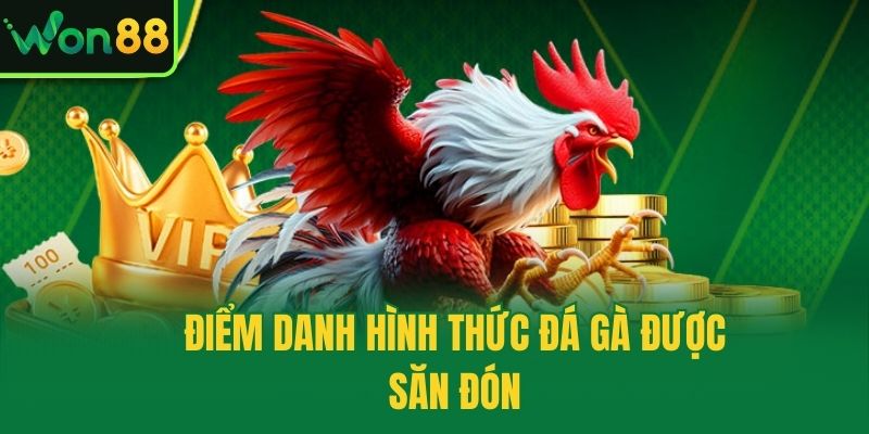 Điểm danh hình thức đá gà được săn đón