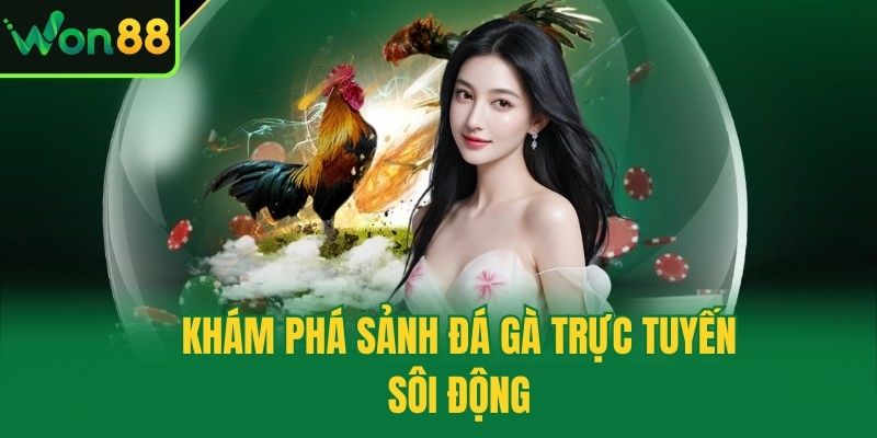 Khám phá sảnh đá gà trực tuyến sôi động