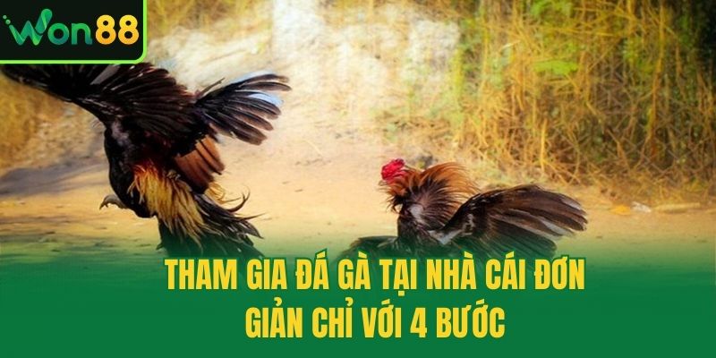 Tham gia đá gà tại nhà cái đơn giản chỉ với 4 bước