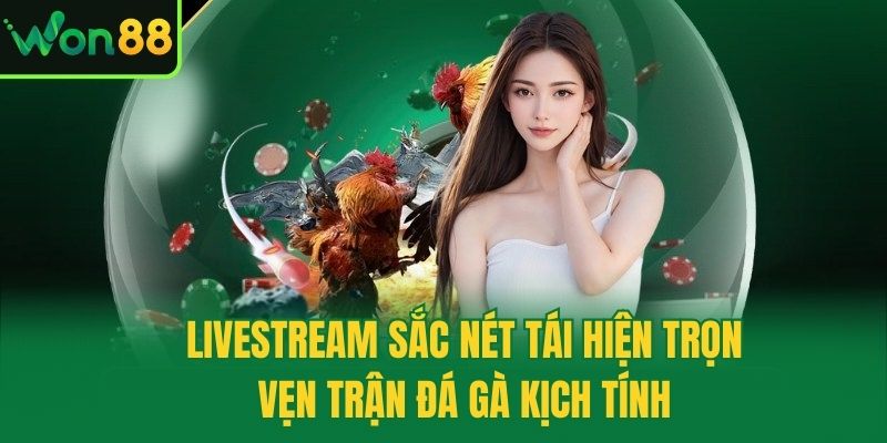 Livestream sắc nét tái hiện trọn vẹn trận đá gà kịch tính